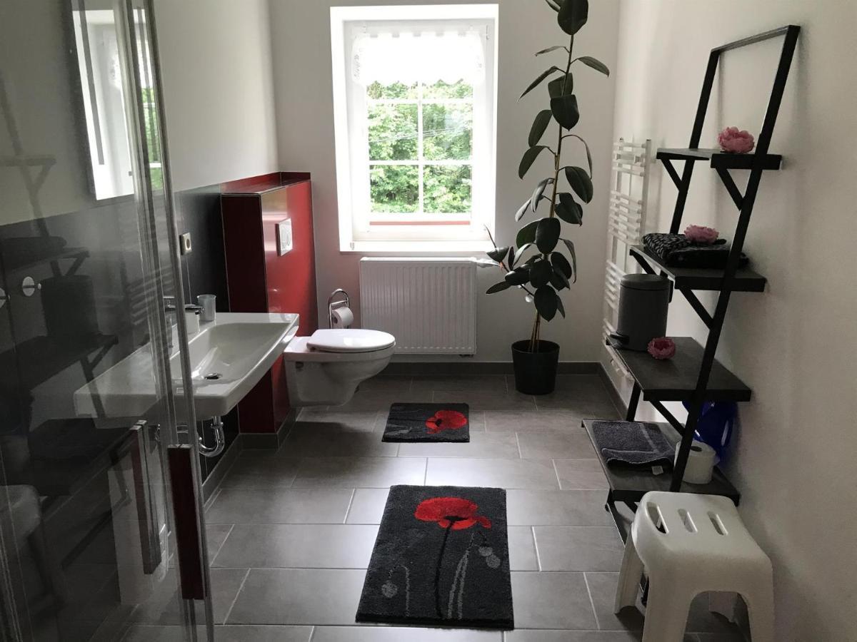 Ferienwohnung Uhlig Altenberg المظهر الخارجي الصورة